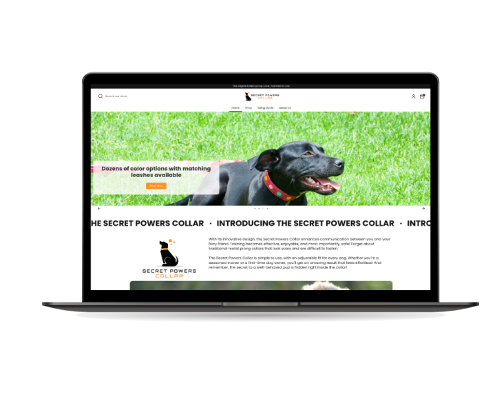 Email Design Preview